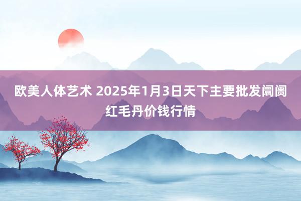 欧美人体艺术 2025年1月3日天下主要批发阛阓红毛丹价钱行情