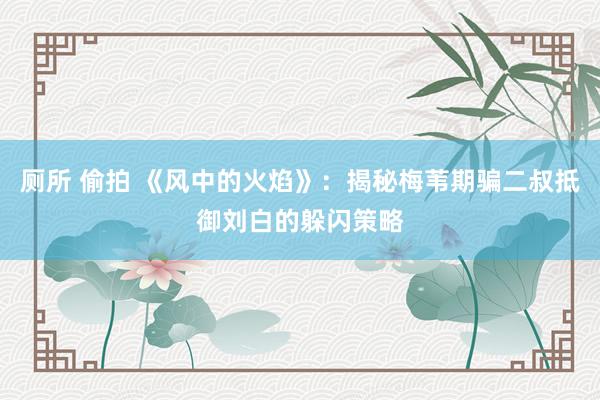 厕所 偷拍 《风中的火焰》：揭秘梅苇期骗二叔抵御刘白的躲闪策略