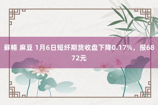蘇暢 麻豆 1月6日短纤期货收盘下降0.17%，报6872元