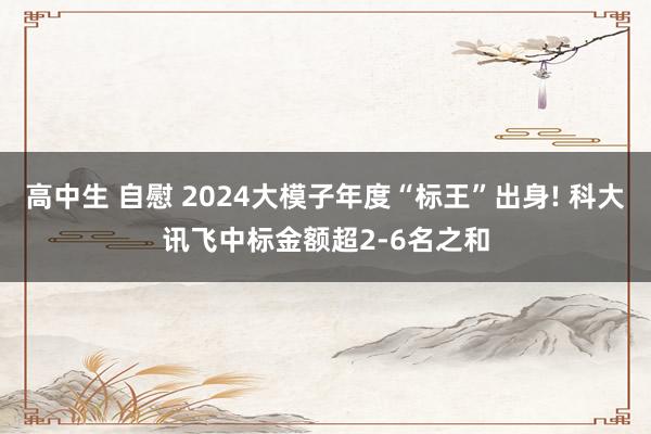 高中生 自慰 2024大模子年度“标王”出身! 科大讯飞中标金额超2-6名之和
