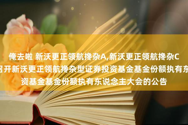 俺去啦 新沃更正领航搀杂A，新沃更正领航搀杂C: 对于以通信方式召开新沃更正领航搀杂型证券投资基金基金份额执有东说念主大会的公告