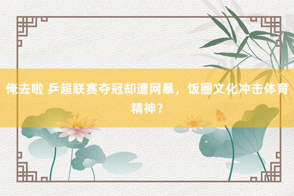 俺去啦 乒超联赛夺冠却遭网暴，饭圈文化冲击体育精神？