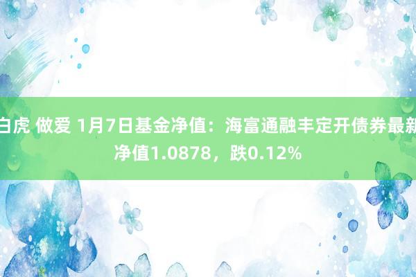 白虎 做爱 1月7日基金净值：海富通融丰定开债券最新净值1.0878，跌0.12%