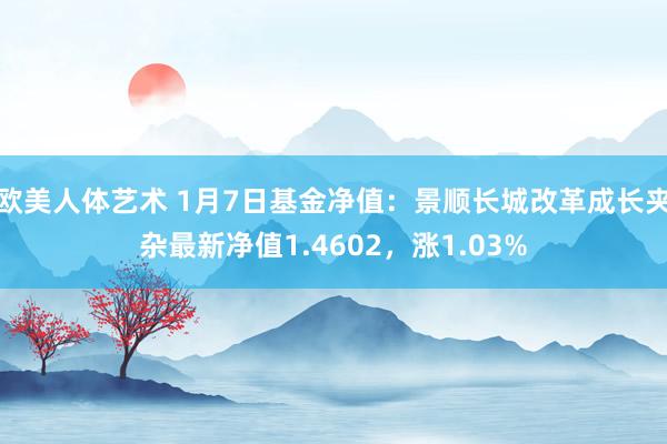 欧美人体艺术 1月7日基金净值：景顺长城改革成长夹杂最新净值1.4602，涨1.03%
