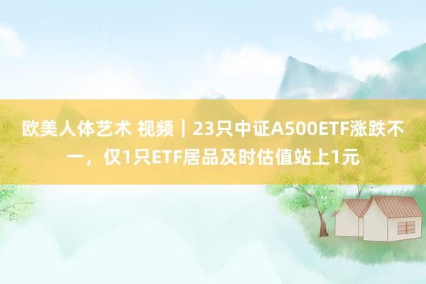 欧美人体艺术 视频｜23只中证A500ETF涨跌不一，仅1只ETF居品及时估值站上1元