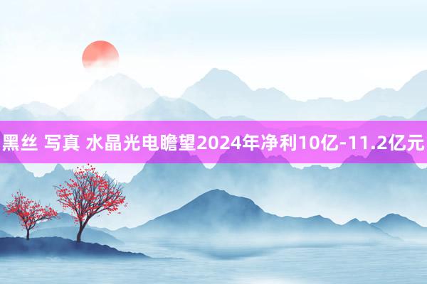 黑丝 写真 水晶光电瞻望2024年净利10亿-11.2亿元