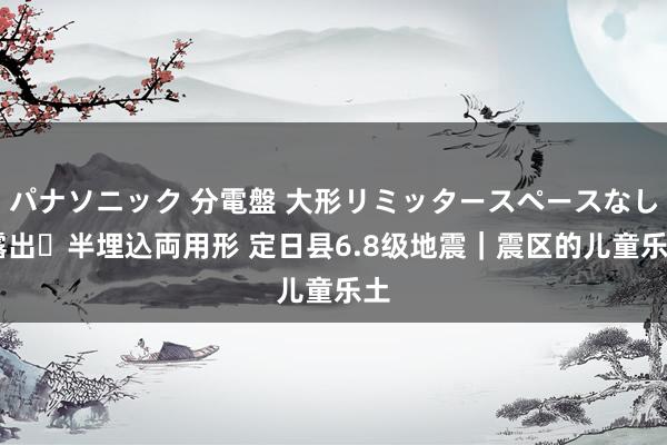 パナソニック 分電盤 大形リミッタースペースなし 露出・半埋込両用形 定日县6.8级地震｜震区的儿童乐土