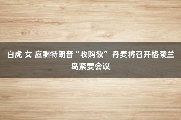 白虎 女 应酬特朗普“收购欲” 丹麦将召开格陵兰岛紧要会议