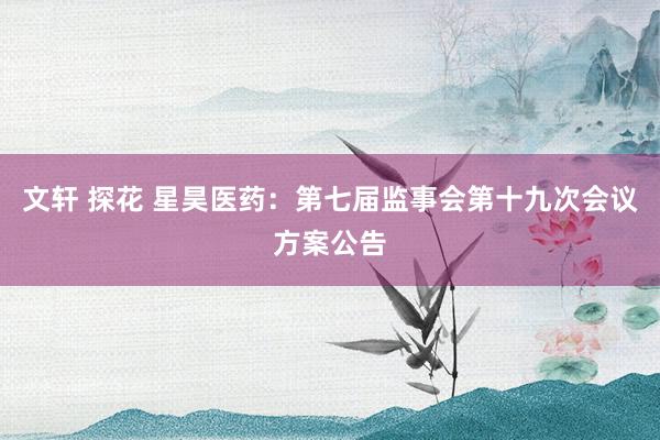 文轩 探花 星昊医药：第七届监事会第十九次会议方案公告