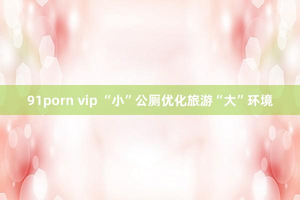 91porn vip “小”公厕优化旅游“大”环境