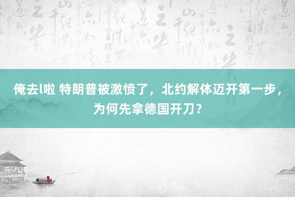俺去l啦 特朗普被激愤了，北约解体迈开第一步，为何先拿德国开刀？