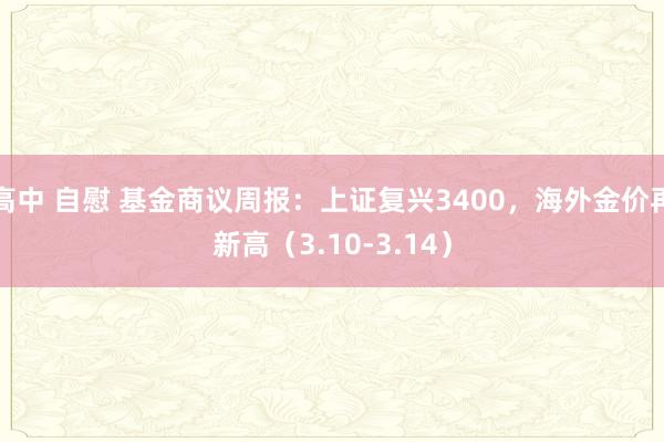 高中 自慰 基金商议周报：上证复兴3400，海外金价再新高（3.10-3.14）