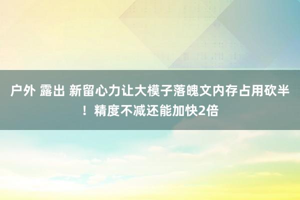 户外 露出 新留心力让大模子落魄文内存占用砍半！精度不减还能加快2倍