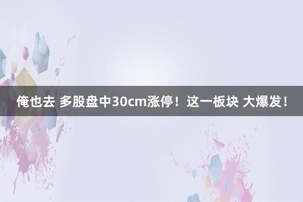 俺也去 多股盘中30cm涨停！这一板块 大爆发！