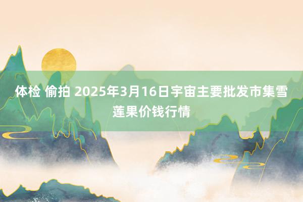 体检 偷拍 2025年3月16日宇宙主要批发市集雪莲果价钱行情