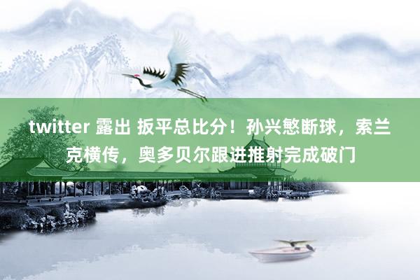 twitter 露出 扳平总比分！孙兴慜断球，索兰克横传，奥多贝尔跟进推射完成破门