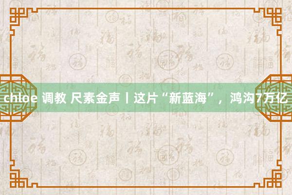 chloe 调教 尺素金声丨这片“新蓝海”，鸿沟7万亿