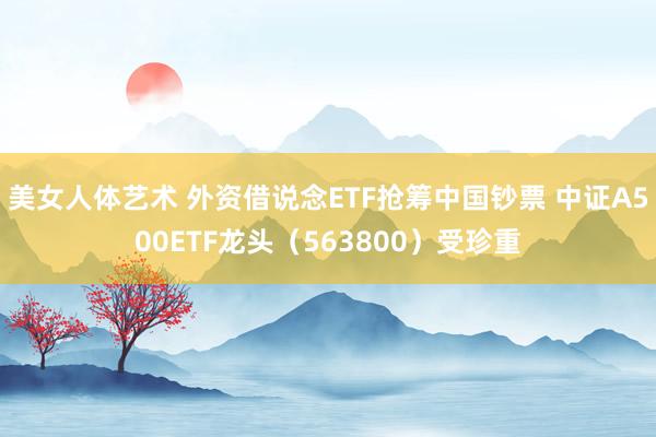 美女人体艺术 外资借说念ETF抢筹中国钞票 中证A500ETF龙头（563800）受珍重