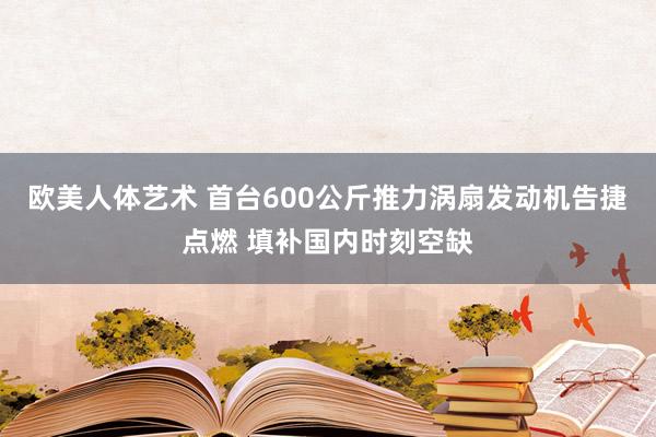 欧美人体艺术 首台600公斤推力涡扇发动机告捷点燃 填补国内时刻空缺