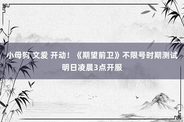 小母狗 文爱 开动！《期望前卫》不限号时期测试明日凌晨3点开服