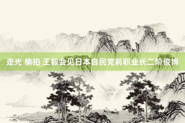 走光 偷拍 王毅会见日本自民党前职业长二阶俊博