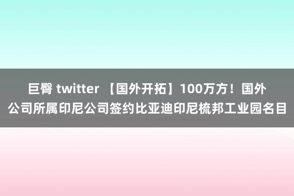 巨臀 twitter 【国外开拓】100万方！国外公司所属印尼公司签约比亚迪印尼梳邦工业园名目