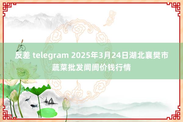 反差 telegram 2025年3月24日湖北襄樊市蔬菜批发阛阓价钱行情