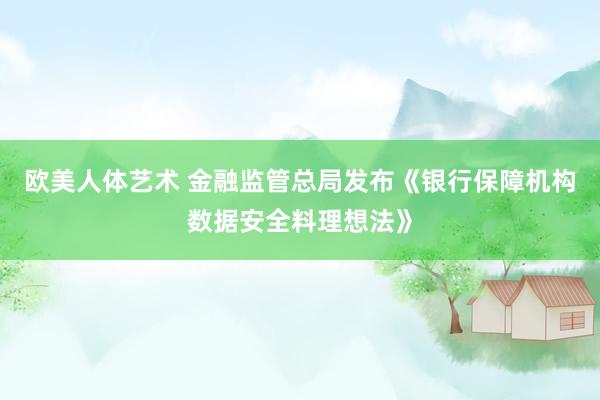 欧美人体艺术 金融监管总局发布《银行保障机构数据安全料理想法》