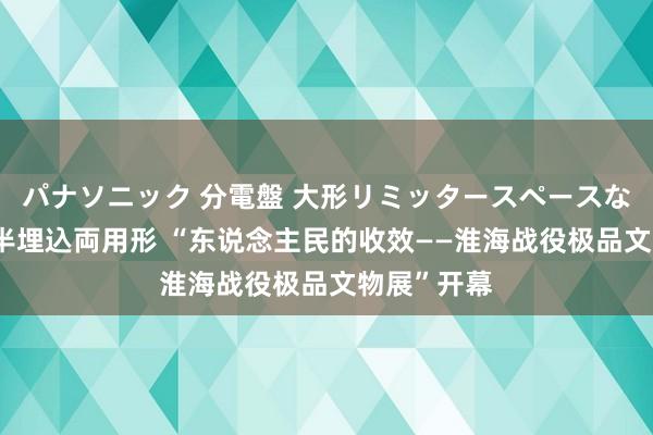 パナソニック 分電盤 大形リミッタースペースなし 露出・半埋込両用形 “东说念主民的收效——淮海战役极品文物展”开幕