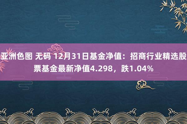 亚洲色图 无码 12月31日基金净值：招商行业精选股票基金最新净值4.298，跌1.04%