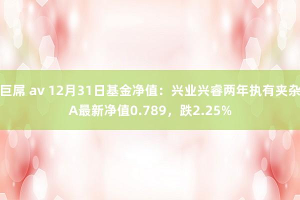 巨屌 av 12月31日基金净值：兴业兴睿两年执有夹杂A最新净值0.789，跌2.25%