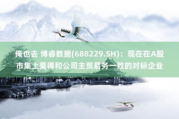 俺也去 博睿数据(688229.SH)：现在在A股市集上莫得和公司主贸易务一致的对标企业