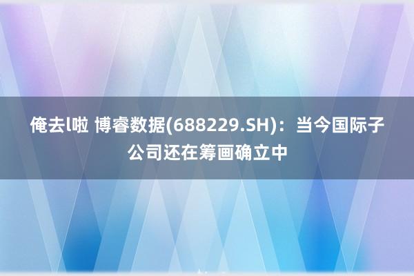 俺去l啦 博睿数据(688229.SH)：当今国际子公司还在筹画确立中