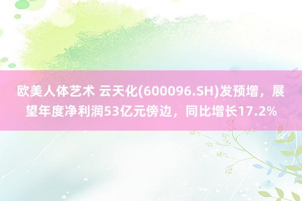 欧美人体艺术 云天化(600096.SH)发预增，展望年度净利润53亿元傍边，同比增长17.2%