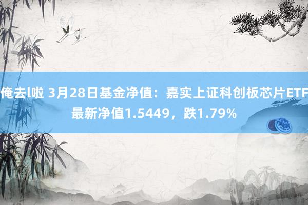 俺去l啦 3月28日基金净值：嘉实上证科创板芯片ETF最新净值1.5449，跌1.79%