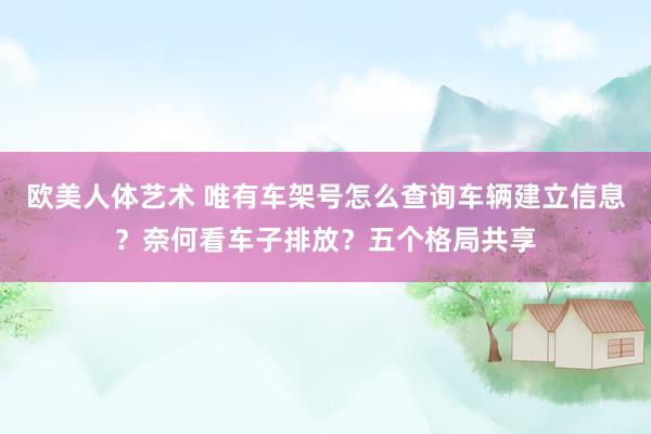 欧美人体艺术 唯有车架号怎么查询车辆建立信息？奈何看车子排放？五个格局共享