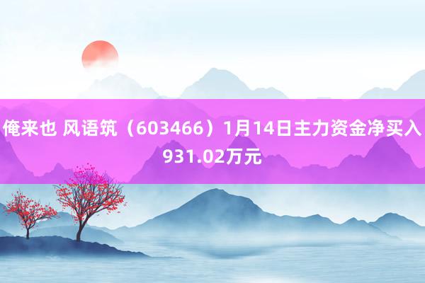 俺来也 风语筑（603466）1月14日主力资金净买入931.02万元