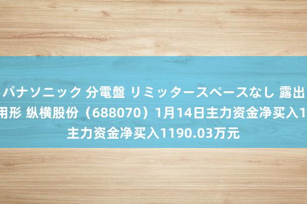 パナソニック 分電盤 リミッタースペースなし 露出・半埋込両用形 纵横股份（688070）1月14日主力资金净买入1190.03万元