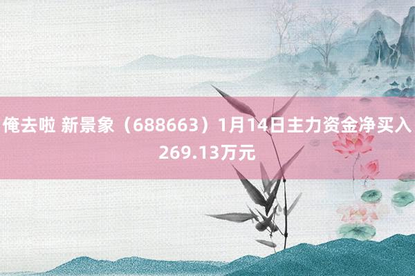 俺去啦 新景象（688663）1月14日主力资金净买入269.13万元