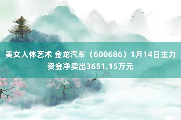 美女人体艺术 金龙汽车（600686）1月14日主力资金净卖出3651.15万元