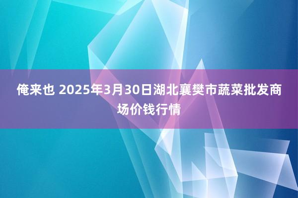 俺来也 2025年3月30日湖北襄樊市蔬菜批发商场价钱行情