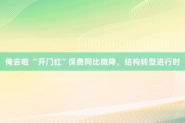俺去啦 “开门红”保费同比微降，结构转型进行时