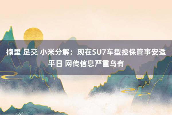 楠里 足交 小米分解：现在SU7车型投保管事安适平日 网传信息严重乌有