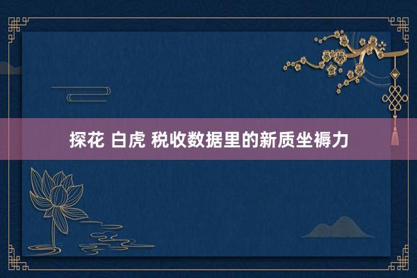 探花 白虎 税收数据里的新质坐褥力