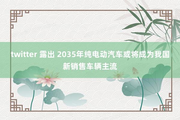 twitter 露出 2035年纯电动汽车或将成为我国新销售车辆主流